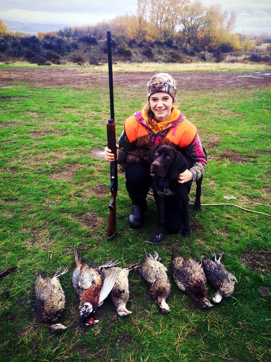 Youth pheasant dog