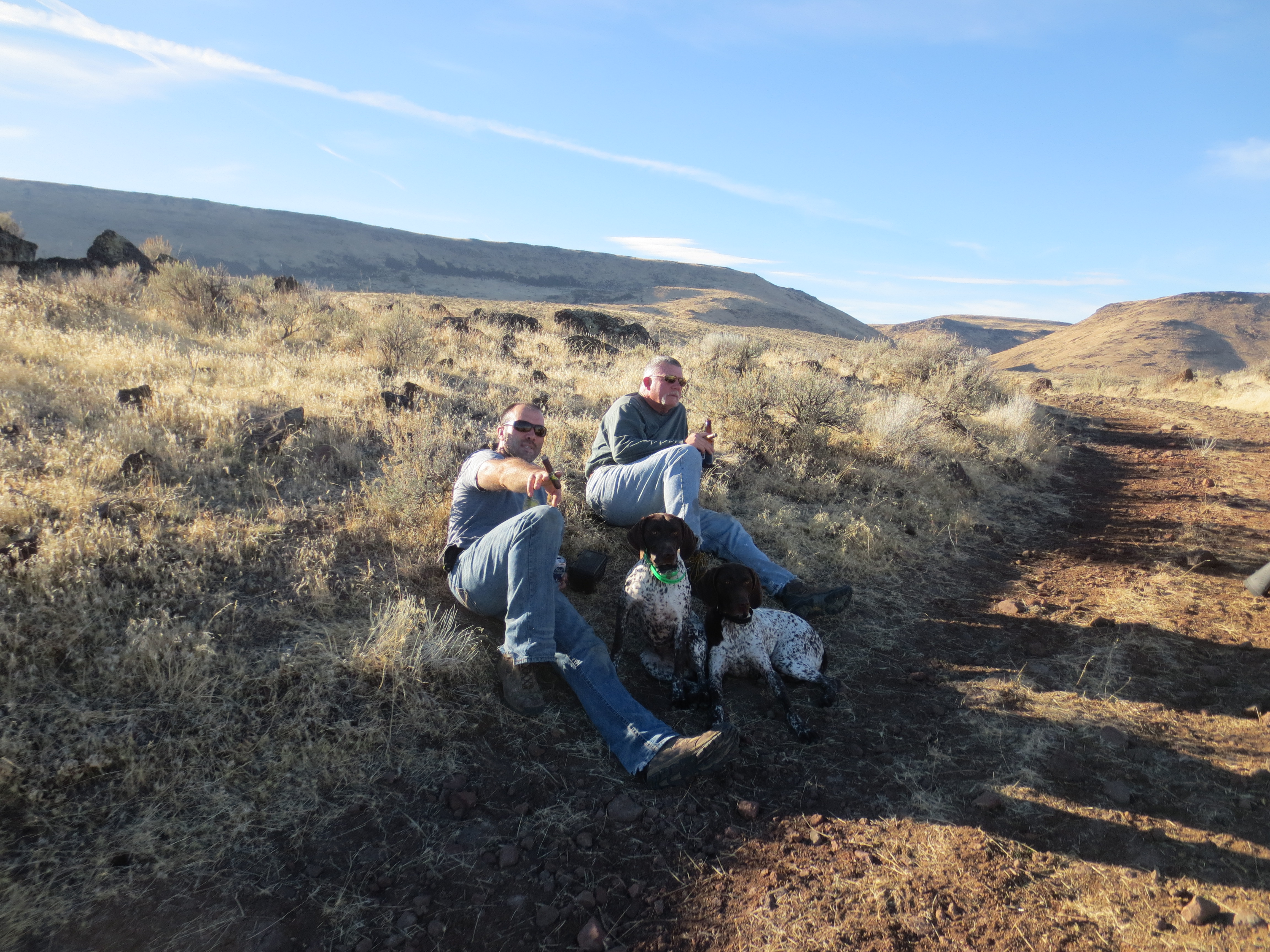 Chukar hunting dogs