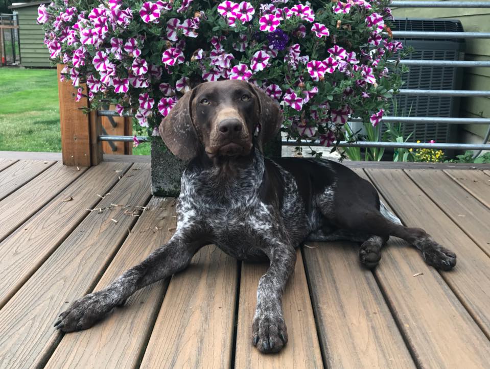 Washington GSP